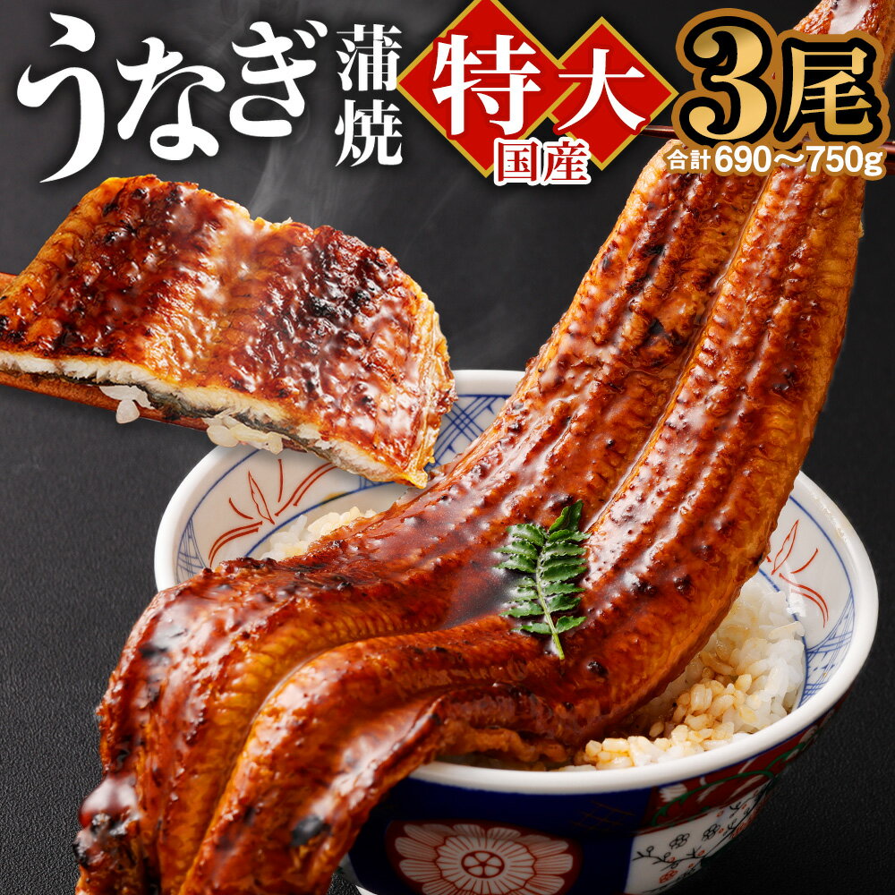 【ふるさと納税】国産「特大うなぎ蒲焼」3尾 690〜750g 特製タレ3個セット うなぎ 鰻 ウナギ 人気 国産 蒲焼 蒲焼き unagi 土用の丑の日 グルメ タレ付き ひつまぶし 高級 冷凍 3尾 特大 ギフト 贈り物 贈答用 プレゼント 送料無料