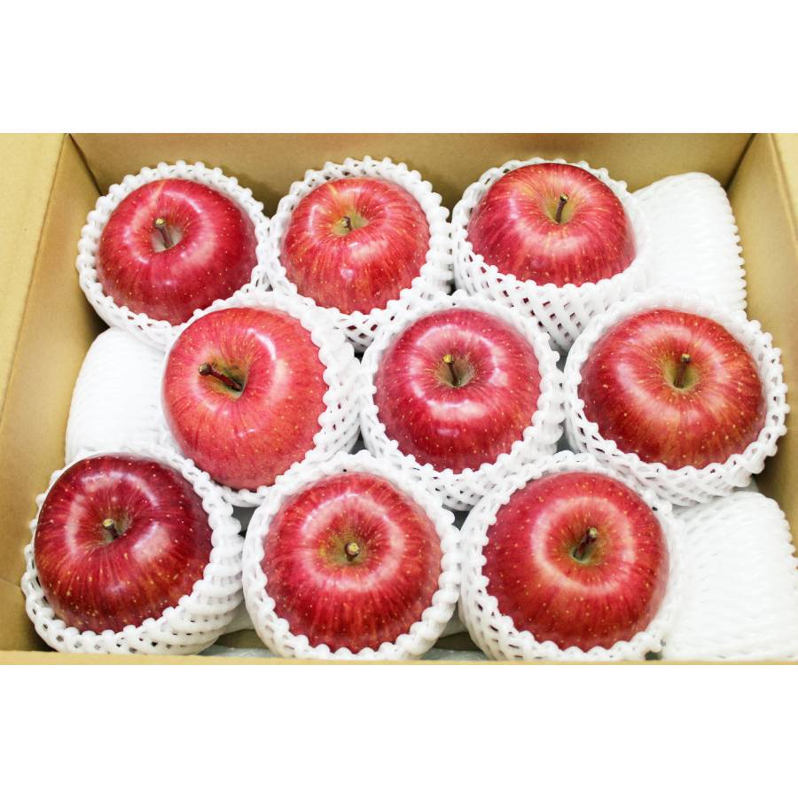 舘山りんご（サンふじ・秀品）大玉・３ｋｇ（８～１０玉）