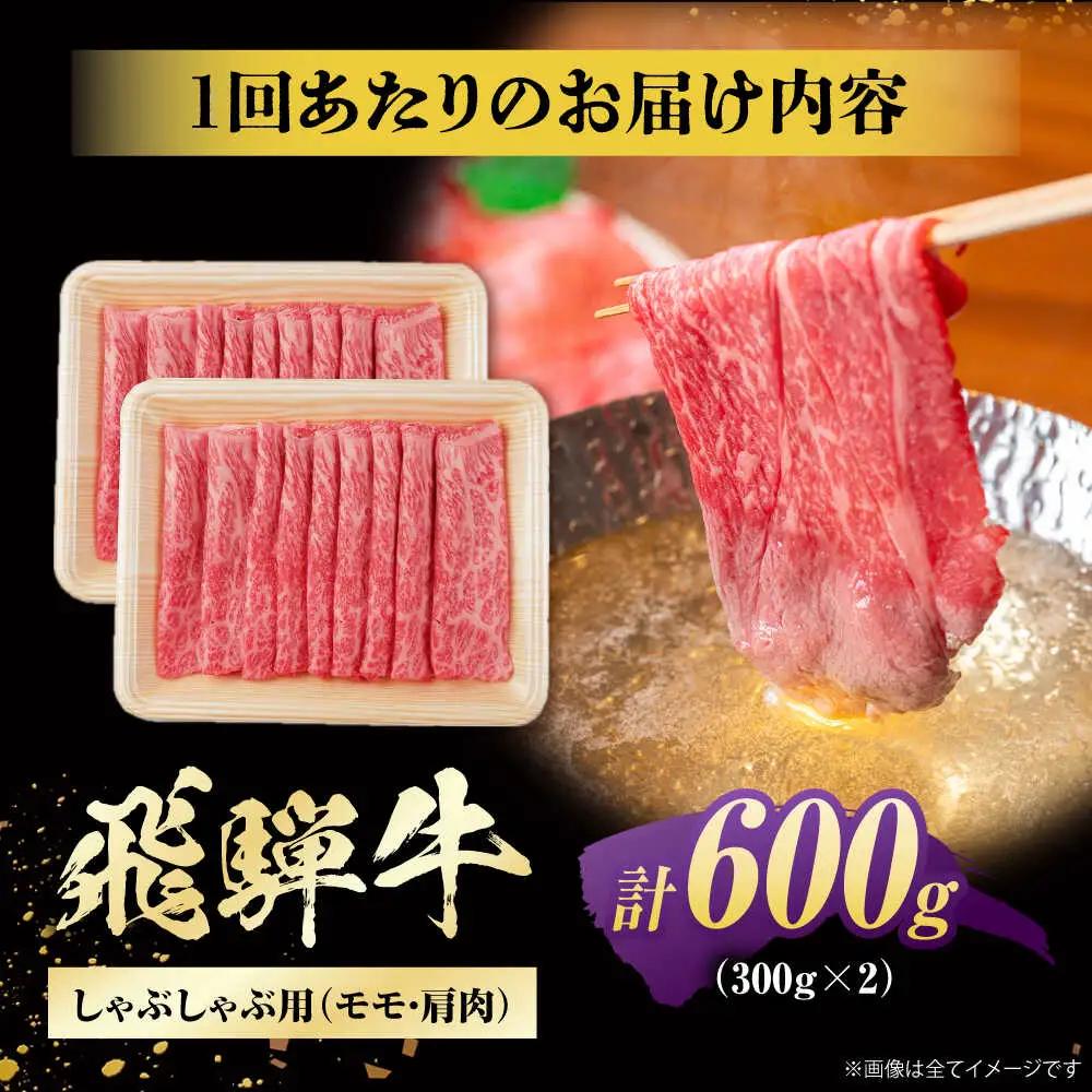 【3回定期便】飛騨牛 牛しゃぶ用赤身 600g / 浅井商店[AWBJ018] 飛騨牛