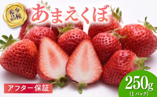 いちご 1パック（250g）  【2026年1-3月発送】
