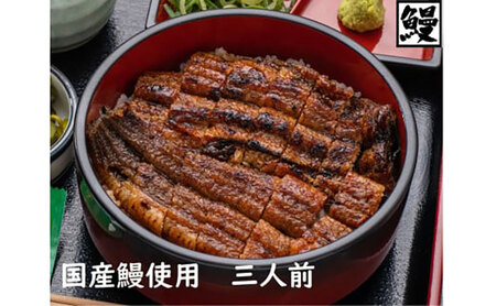 国産うなぎ ひつまぶし 3人前 炭火焼き 冷凍 丑の日 ギフト 名張市