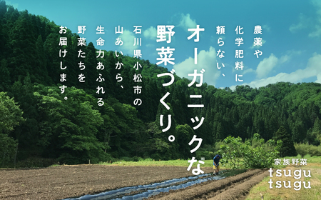 015027.【農薬・化学肥料不使用】ねっとり甘〜い おいもさん（紅はるか） ５kg