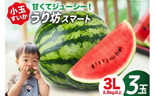 AJ637 【令和8年度出荷分】 まるき農園 うり坊スマート 3Lサイズ(2.8kg以上) 3玉 [ スイカ すいか 西瓜 小玉 小玉スイカ うり坊 ウリ坊 うりぼう ウリボー まるき農園 長崎県 島原市] 