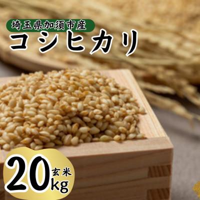 ふるさと納税 加須市 【先行受付】令和8年産　水野農園のコシヒカリ　玄米20kg(5kg×4袋)