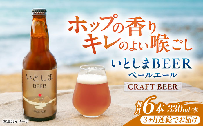 
            【全3回定期便】いとしまBEER (ペールエール) 330ml×6本 糸島市 / 蔵屋 クラフトビール [AUA050]
          