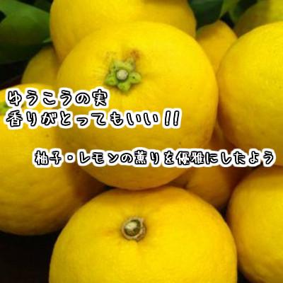 ふるさと納税 長崎市 国際味覚審査機構ITI 2024受賞セット/九州魂 麦焼酎・ゆうこうのお酒(720ml×2本) |  | 01