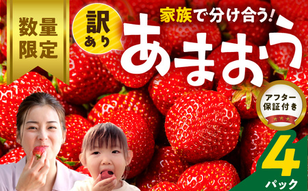 【数量限定】【訳あり】ファミリー向け あまおう約270g×4パック_あまおう 270g 4パック 国産 福岡県産 ブランドいちご アフター保証 食べ方いろいろ 甘い 果物 フルーツ ストロベリー 苺 エコファーマー認定農家 お取り寄せ スイーツ デザート 家庭用 福岡県 久留米市 送料無料_Fi072_RCF0600