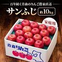 【ふるさと納税】【百年続く青森のりんご農家直送】サンふじ　約10kg　家庭用【12月から発送開始】【配送不可地域：離島】【1170122】