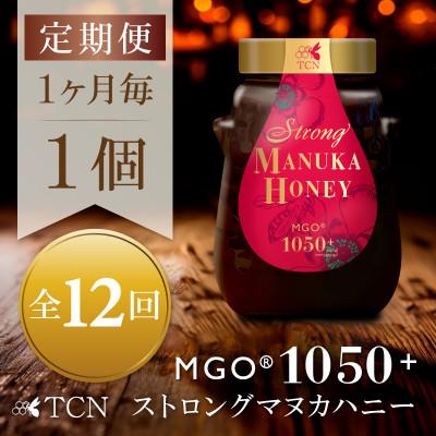 ふるさと納税 和泉市 【毎月定期便】ストロングマヌカハニー【MGO1050+】500g×1個　全12回