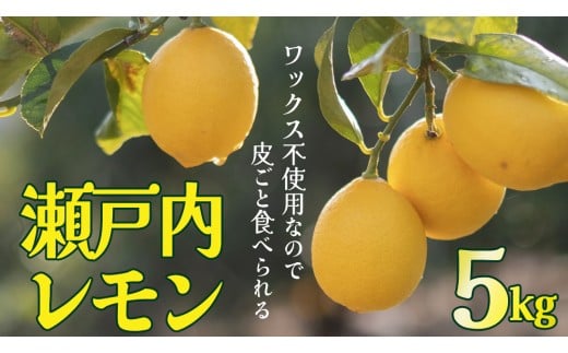 せとうちレモン 約5kg 1～2月発送 瀬戸内 国産 レモン 瀬戸内レモン 檸檬 柑橘 防腐剤 ワックス 不使用 皮まで丸ごと食べられる 広島県 大崎上島町 離島 産地直送 岩﨑農園