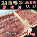 【ふるさと納税】『A5等級』飛騨牛赤身肉焼肉用1kg　モモ又はカタ肉【配送不可地域：離島】【1432070】