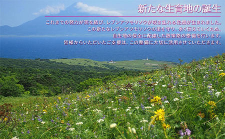 【礼文島リボンプロジェクト】波声（泡盛）30度 600ml×1本 波声（泡盛）43度 600ml×1本