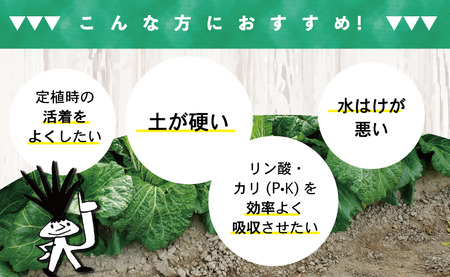 堆肥 酵素 200L Gensuke GREEN 40L×5袋 セット げんすけグリーン 土づくり 家庭菜園 園芸 畑 農作業 高知県 須崎市