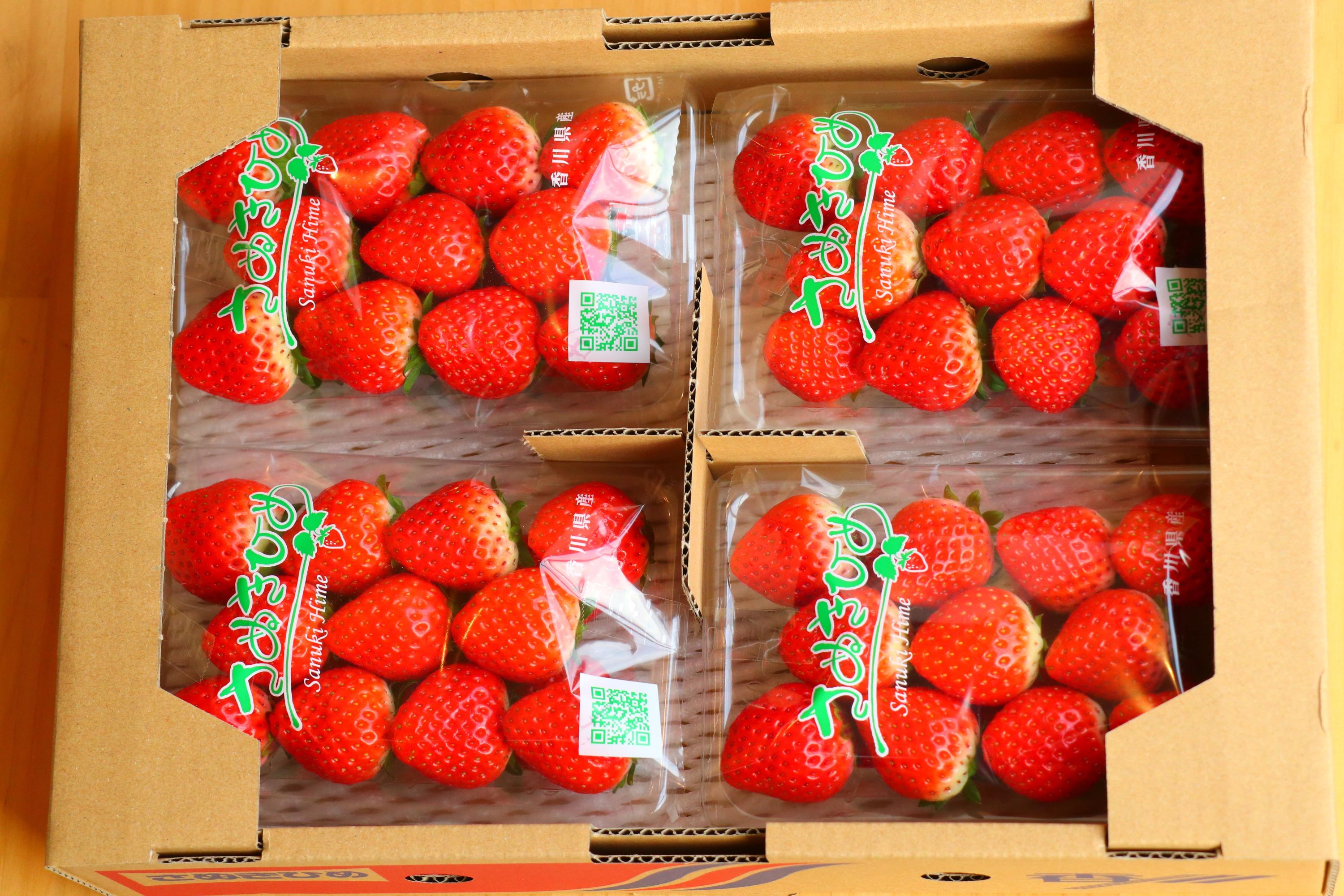 【ふるさと納税】【2025年出荷】【配送不可地域：北海道・沖縄県・離島】三豊市産【市場直送　さぬきひめ　1.0ｋｇ以上】  秋 旬