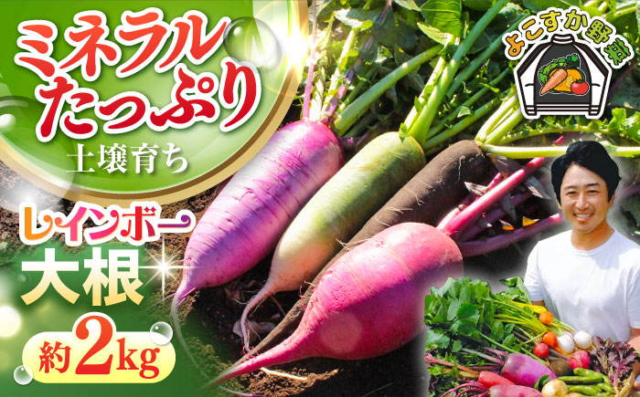 
            【先行予約】【数量限定】レインボー　大根　約2kg（10月〜2月） 野菜  やさい 【鈴也ファーム】 [AKCE015]
          