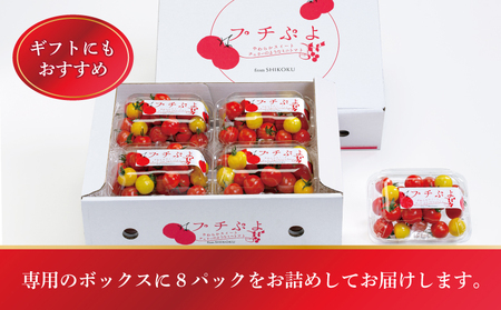 トマト 薄皮 プチぷよ 1.2kg (150g×8)  ミニトマト