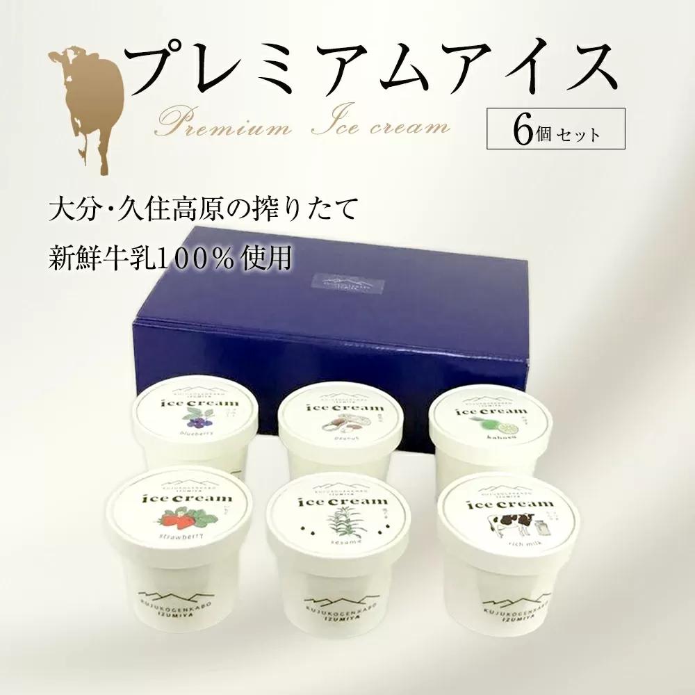 プレミアムアイスクリーム 6個入りセット（120ml×6個）
