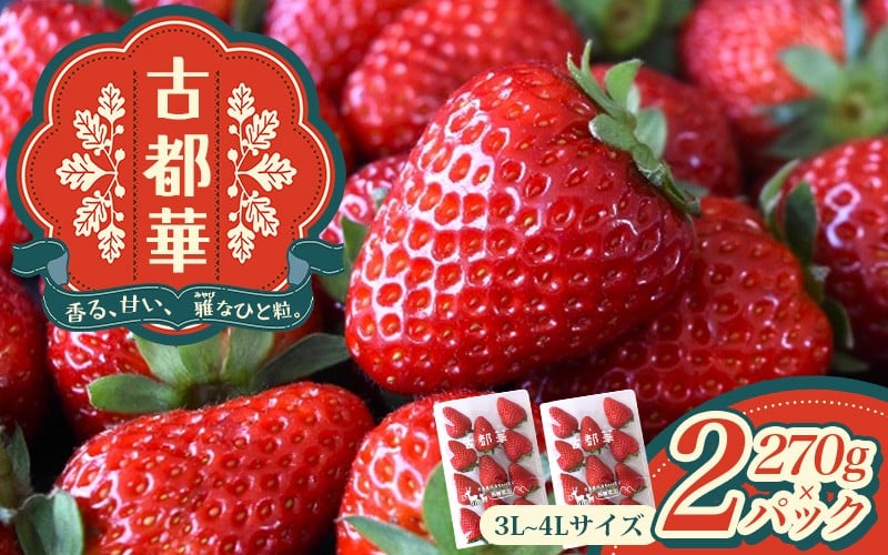 
                  古都華 3L～4Lサイズ 270g×2パック ／ 西田農園 ブランド いちご 苺 ことか フルーツ 果物 奈良県 葛城市【nsdf003】
                