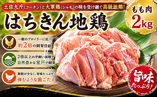 
                  鶏肉 もも肉 2kg はちきん地鶏 室戸産 地鶏 キャンプ キャンプ飯 BBQ バーベキュー 焼肉 焼き肉 焼き鳥 やきとり 鳥肉 とり肉 とりにく 鍋 寄せ鍋 水炊き 低カロリー 高タンパク 高たんぱく 人気 おすすめ 高知県 室戸市
                