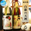 【ふるさと納税】日本酒 白銀の天酒 720ml 2本セット（金・銀ラベル）つや姫 純米酒 贈答 四合瓶 宮城県 東松島市 贈答品 贈り物 ギフト プレゼント お歳暮 お中元 父の日 母の日 敬老の日