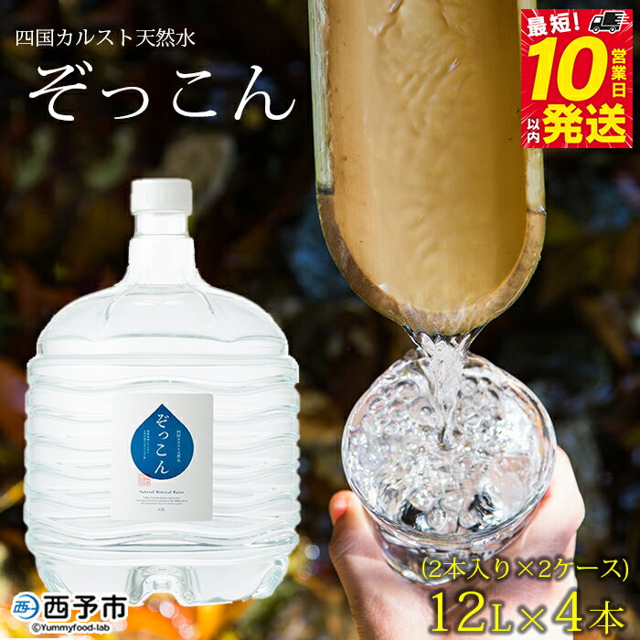 【ふるさと納税】＜四国カルスト天然水ぞっこん (12L×2本)×2ケース 計4本＞ 飲料 水 みず 中硬水 弱アルカリイオン水 ガロンボトル ウォーター バナジウム 備蓄 防災 キャンプ アウトドア 国産 特産品 ぞっこん四国 愛媛県 西予市【常温】『最短10営業日以内に発送予定』