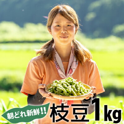 【ふるさと納税】朝どれ新鮮！夏の味覚「枝豆」おてごろ1kg（500g×2袋） Fiz-A07 Fiz-08 枝豆 枝豆 枝豆 枝豆 枝豆 枝豆