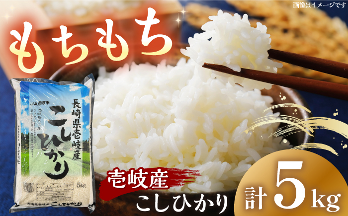 
            壱岐産 こしひかり 5kg《壱岐市》【壱岐市農業協同組合】 米 お米 ご飯 お弁当 常温発送 [JBO147] 17000 17000円
          