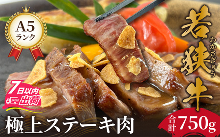 若狭牛A5ランク リブロース極上ステーキ肉 [E-037007]