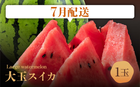 【先行予約】【定期便 3回コース】 坂井市フルーツ三昧！！「極」 B 【2026年7月上旬以降順次発送開始予定】定期便 くだもの 果物 [F-3202]