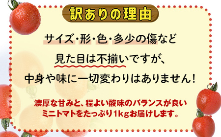 【訳あり】ミニトマト 約1kg (2S～3Lサイズ混合) トマト フルーツトマト 産地直送 甘いトマト 熟成トマト F21W-491