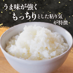 【特別栽培米】コシヒカリ　茨城県産　白米　約4.5kg【1663956】