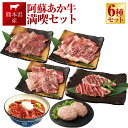 【ふるさと納税】阿蘇あか牛 満喫 セット モモ 上カルビ 上ロース サーロイン ハンバーグ 丼 6種 肉 お肉 牛肉 阿蘇 あか牛 くまもとあか牛 冷凍 あか牛丼 国産 国産牛 九州 熊本県 送料無料