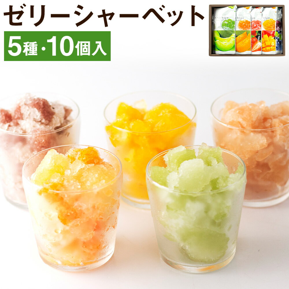 【ふるさと納税】ゼリーシャーベット 10個セット 【メロンドーム】 200g×10個 5種類×各2個 メロン いちご マンゴー ブルーベリー シャーベット 洋菓子 お菓子 おやつ ゼリーシャーベット 送料無料【2023年4月下旬より順次発送予定】