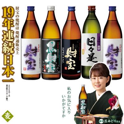 ふるさと納税 垂水市 麦焼酎 飲み比べセット 5合瓶 4種5本セット