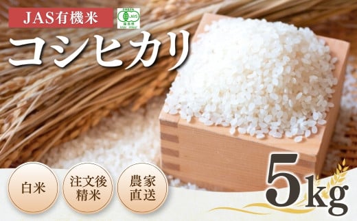 【先行予約】JAS有機米 コシヒカリ 白米 5kg 令和7年産 |  精米 JAS 有機米 米 コメ ブランド米 低温貯蔵庫 福島県産 根本有機農園【53870-001-02】