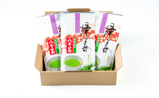 やすらぎの味!八女緑茶(煎茶)100g×3【1549059】