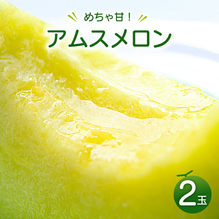 【ふるさと納税】〈先行予約〉 アムスメロン 2玉 メロン 早期予約 季節限定 期間限定 果物 フルーツ くだもの お土産 プレゼント 贈り物 ご褒美 贅沢