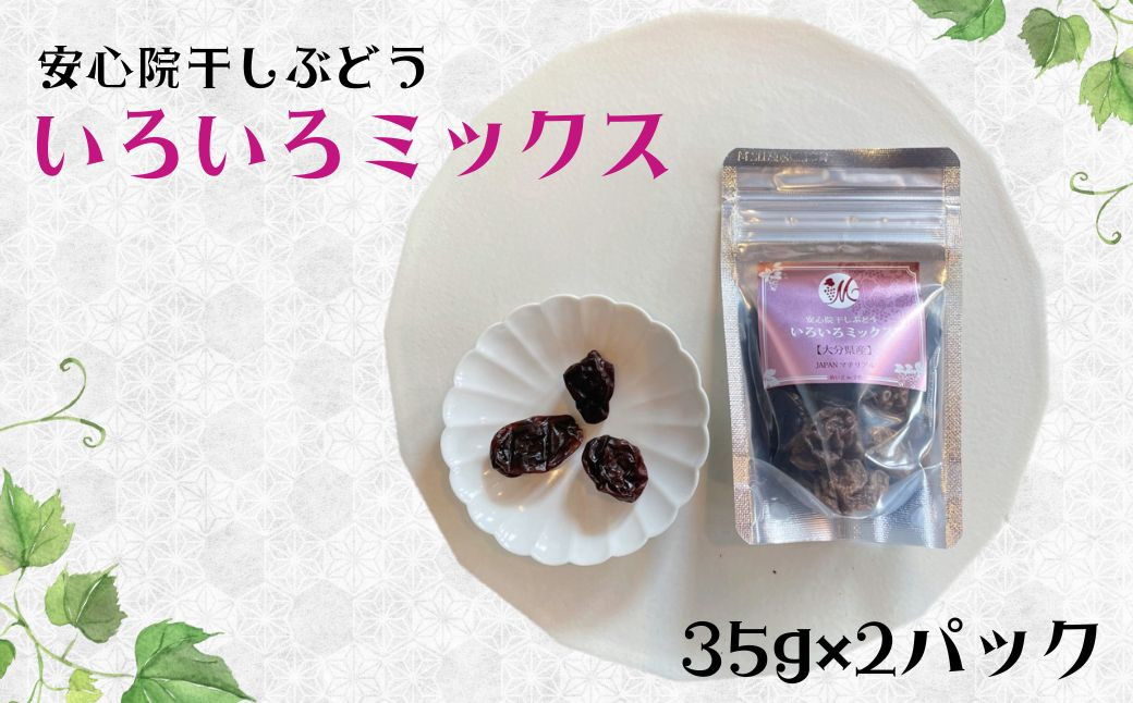 
安心院干しぶどういろいろミックス(計70g・35g×2袋)ドライフルーツ 葡萄 ぶどう 果物 くだもの フルーツ 乾燥 小分け ミックス 大分県産【100701200】【宮田ファミリーぶどう園】
