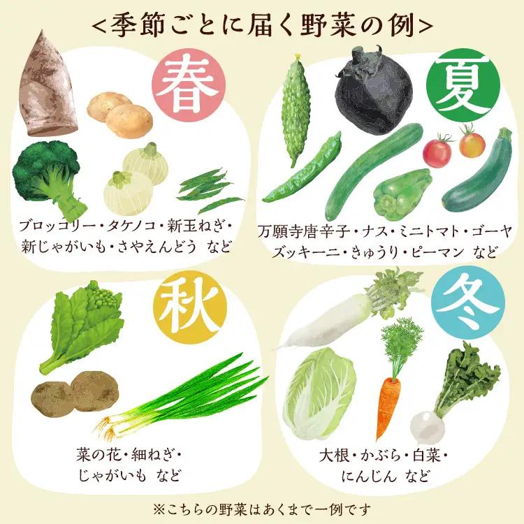 【隔月6回定期便】旬の京野菜セット 野菜 米 卵 納豆 詰め合わせ