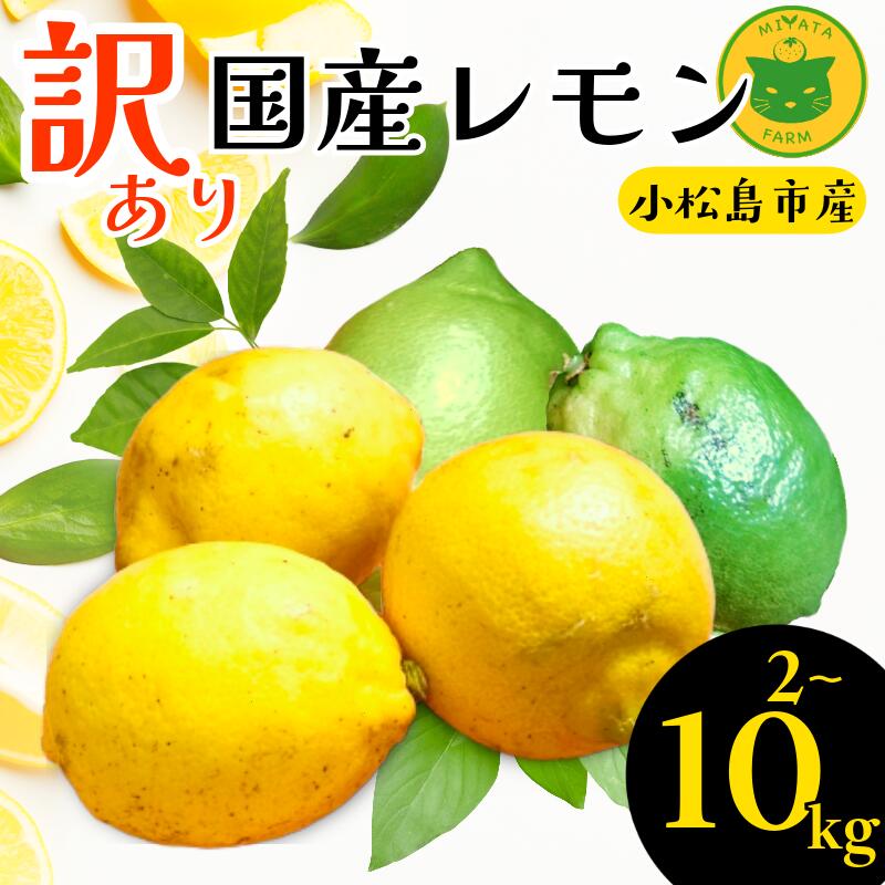 【ふるさと納税】 レモン 2kg～10kg 訳あり 2025年10月順次発送 国産 レモン 檸檬 れもん ワックス不使用 防腐剤不使用 柑橘 果汁 フルーツ 果実 徳島 小松島市