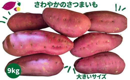 さわやかのサツマイモ 大きいサイズ　9kg　ねっとり 甘い  鳴門　さつまいも　国産 スイーツ 焼き芋 焼芋　天ぷら 干し芋