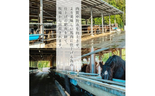 【阿蘇牧場】熊本と畜 小国育ち 小国馬 地元産 馬刺し 阿蘇 熊本 小国 国産 阿蘇の大地 放牧馬 霜降り サシ 脂の旨み とろける 小分け 馬肉 200g 馬刺し醤油 150ml 専用醤油 七福醤油