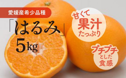 はるみ（生果5kg）≪みかん 柑橘 愛媛県産 フルーツ 果物≫
※2023年1月下旬頃～2月上旬頃に順次発送予定
※離島への配送不可