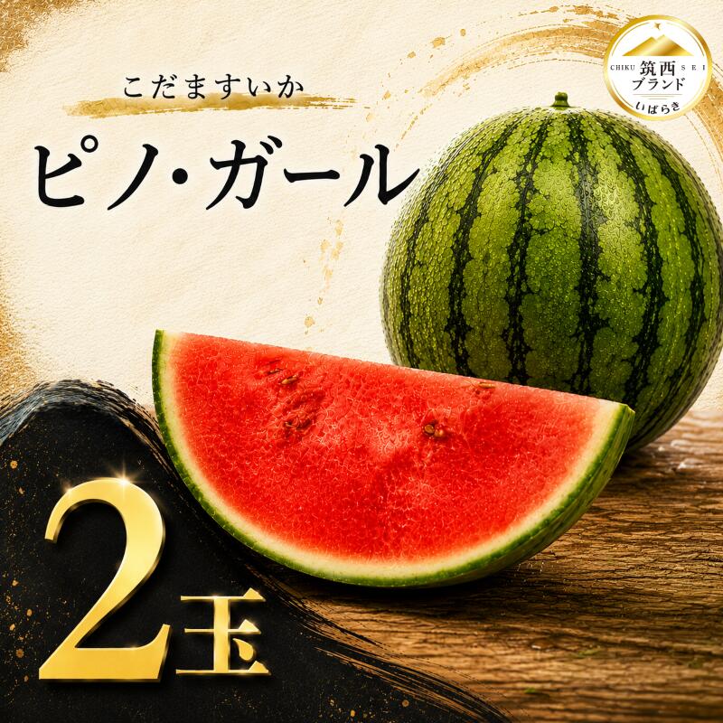 【ふるさと納税】 【 2027年先行予約 】こだますいか 2玉 4-5玉 ピノガール 2027年発送 小玉スイカ コダマスイカ こだまスイカ すいか 西瓜 甘い ジューシー 旬の果物 夏 初夏 suika fruits 果物 くだもの デザート フルーツ 茨城県産 関東 茨城 筑西 JA 北 つくば