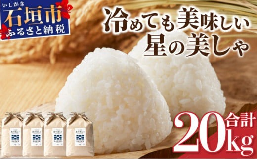 石垣島産 星の美しゃ（ほしのかいしゃ）20kg（5kg×4袋）【 日本一早い新米の産地 ふるさと納税 沖縄県 石垣市 石垣島 米 星 星の美しゃ】MK-5