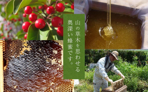 かの蜂 国産もち蜂蜜【1kg】養蜂一筋60年自慢の一品　さっぱりとした後味の蜂蜜 かの蜂 美容 健康 高級はちみつ 蜂蜜 はちみつ ハチミツ 国産 もち 完熟 天然 非加熱 常温 保存 備蓄 防災食 