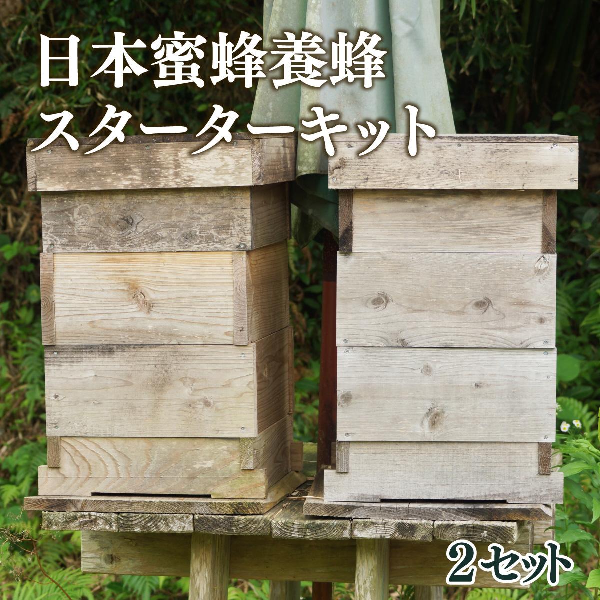 【ふるさと納税】サポートも致します「日本蜜蜂養蜂スターターキット」2個セット【Qcompany】【P-F1】