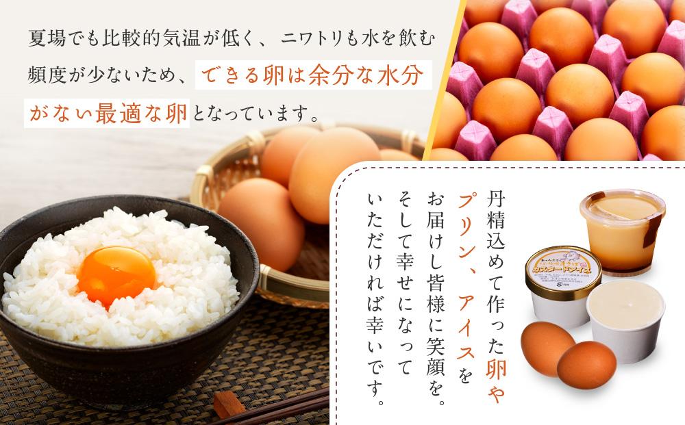 おいし高原 庭さき卵 Lサイズ 20個入り たまご 卵 玉子 ED002_イメージ5