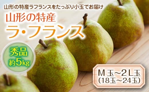 《先行予約 2025年度発送》山形の特産ラ・フランス約5kg☆小玉をお届け！  なし ナシ 梨 デザート フルーツ 果物 くだもの 果実 食品 山形県 FSY-0115