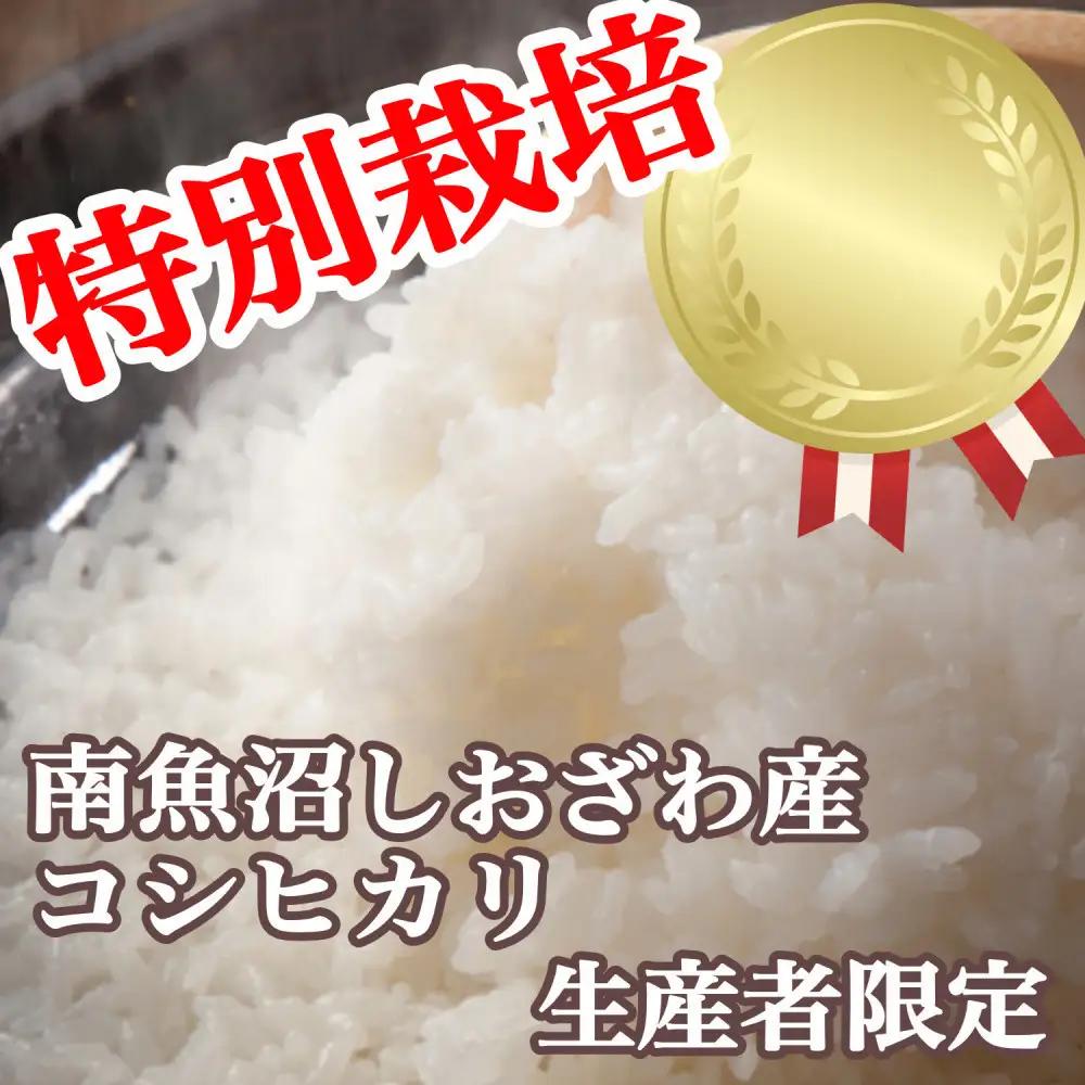 【令和8年　新米予約】【定期便：20Kg×6ヶ月】特別栽培 生産者限定  南魚沼しおざわ産コシヒカリ | コシヒカリ【2026年10月上旬より1ヶ月以内に順次発送予定】